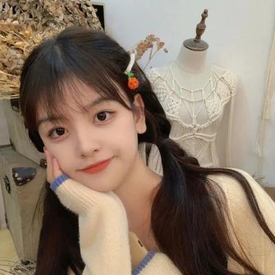 醉拳苏乞儿